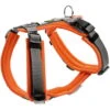 Hunter Hundegeschirr Maldon Orange/grau