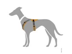 Hunter Hundegeschirr Maldon Orange/grau -Haustierbedarf für Hunde 1001104 Product