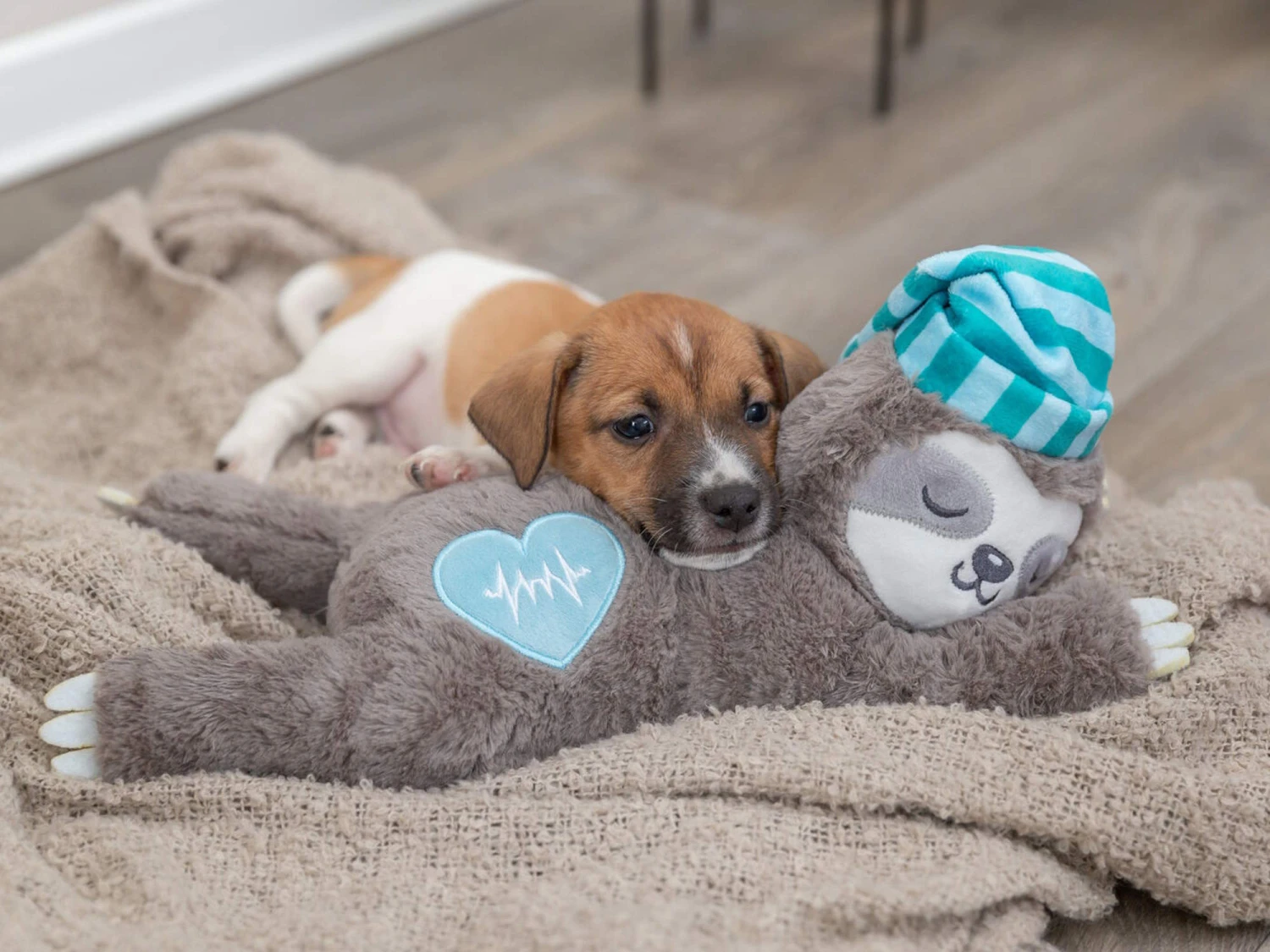 Trixie Junior Herzschlag Plüsch-Faultier Für Welpen 8 Trixie Junior Herzschlag Plüsch-Faultier Für Welpen – Bild 8