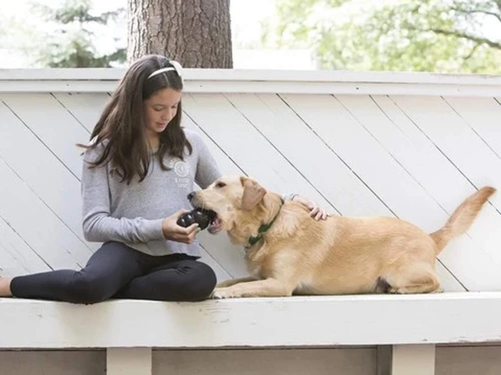 Kong Extreme Kauspielzeug Für Hunde 4 Kong Extreme Kauspielzeug Für Hunde – Bild 4