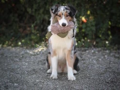 Duck Dummy Ente Mit Kunstfell -Haustierbedarf für Hunde 1022882 Product