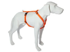 Feltmann Mantrailing Suchgeschirr Basic