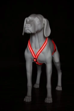 Feltmann Mantrailing Suchgeschirr Basic -Haustierbedarf für Hunde 1030651 Product