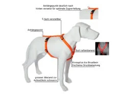 Feltmann Mantrailing Suchgeschirr Basic -Haustierbedarf für Hunde 1030653 Product