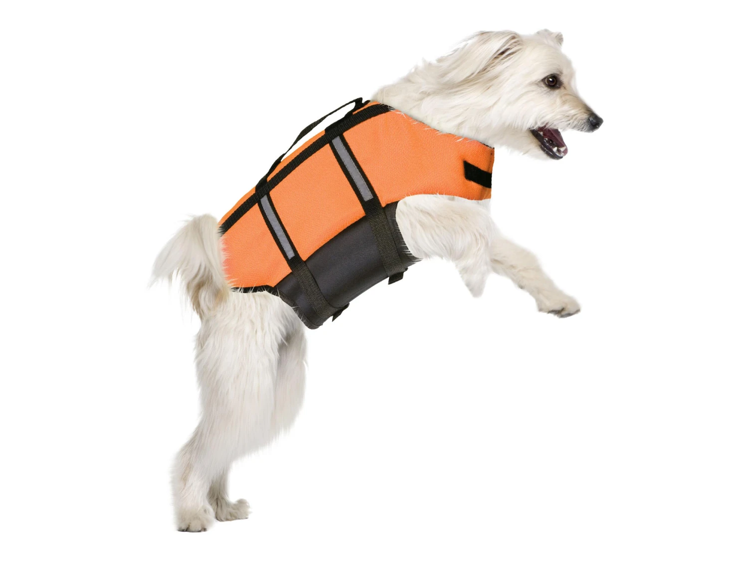 Schwimmweste Marinus Für Hunde Orange 3 Schwimmweste Marinus Für Hunde Orange – Bild 3