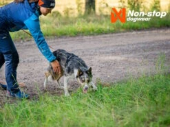 Non-Stop Dogwear Hundegeschirr Line Harness 5.0 Schwarz -Haustierbedarf für Hunde 1033732 Product