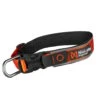 Non-Stop Dogwear Hundehalsband Roam Collar Orange