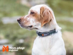 Non-Stop Dogwear Hundehalsband Roam Collar Blau -Haustierbedarf für Hunde 1036190 Product