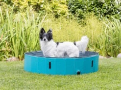 Trixie Hundepool Planschbecken Für Hunde