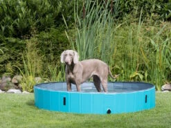 Trixie Hundepool Planschbecken Für Hunde -Haustierbedarf für Hunde 1041148 Product