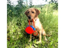 Chuckit Rope Fetch Großer Spielball Für Hunde -Haustierbedarf für Hunde 1043500 Product