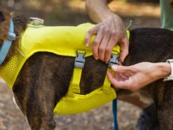 Ruffwear Trail Runner™ Hunde-Laufweste Lichen Green -Haustierbedarf für Hunde 1048021 Product