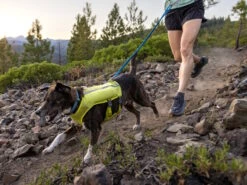 Ruffwear Trail Runner™ Hunde-Laufweste Lichen Green -Haustierbedarf für Hunde 1048025 Product