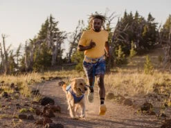 Ruffwear Trail Runner™ Hunde-Laufweste Blue Pool -Haustierbedarf für Hunde 1048424 Product