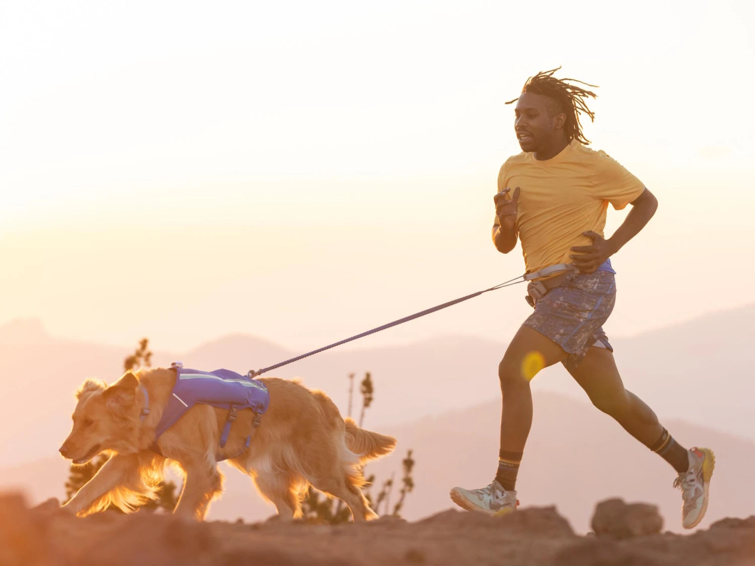 Ruffwear Trail Runner™ Dehnbare Hundeleine Blue Pool 6 Ruffwear Trail Runner™ Dehnbare Hundeleine Blue Pool – Bild 6