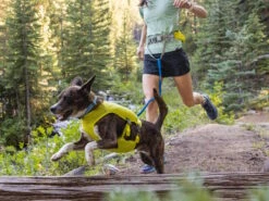 Ruffwear Trail Runner™ Dehnbare Hundeleine Blue Pool 13 Ruffwear Trail Runner™ Dehnbare Hundeleine Blue Pool -Haustierbedarf für Hunde 1049094 Product