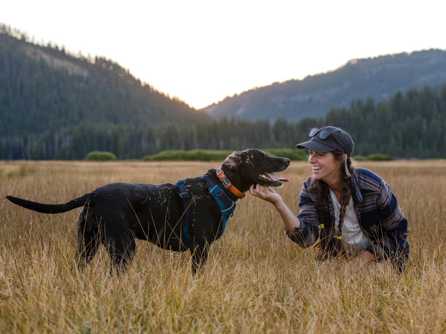 Ruffwear Flat Out™ Hundehalsband Autumn Horizon 3 Ruffwear Flat Out™ Hundehalsband Autumn Horizon – Bild 3