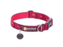 Ausgewählte Produkte 3 Ruffwear Flat Out™ Hundehalsband Alpenglow Burst