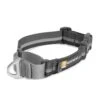 Ruffwear Web Reaction™ Martingal Hundehalsband Granite Gray