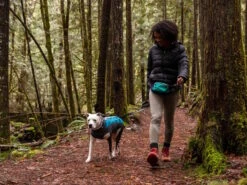 Ruffwear® Climate Changer™ Pullover Für Hunde Glacier 13 Ruffwear® Climate Changer™ Pullover Für Hunde Glacier -Haustierbedarf für Hunde 1058872 Product