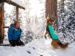 Ruffwear Cloud Chaser™ Winter Softshell Hundemantel Aurora Teal -Haustierbedarf für Hunde 1059268 Product