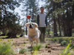 Ruffwear Huckama™ Wurfspielzeug Für Hunde -Haustierbedarf für Hunde 1059655 Product