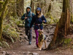 Ruffwear Sun Shower™ Regenmantel Für Hunde Midnight Blue 15 Ruffwear Sun Shower™ Regenmantel Für Hunde Midnight Blue -Haustierbedarf für Hunde 1060110 Product