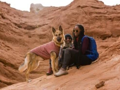 Ruffwear Hemp Hound™ Sweater Für Hunde Fired Brick -Haustierbedarf für Hunde 1061678 Product