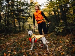 Ruffwear Lumenglow Reflektierende Weste Für Hunde Blaze Orange -Haustierbedarf für Hunde 1062060 Product