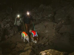 Ruffwear Lumenglow Reflektierende Weste Für Hunde Red Sumac -Haustierbedarf für Hunde 1062689 Product