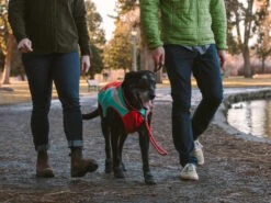 Ruffwear Lumenglow Reflektierende Weste Für Hunde Red Sumac -Haustierbedarf für Hunde 1062690 Product