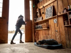 Ruffwear Overcoat™ Gefütterte Allwetter-Hundejacke Slate Blue 10 Ruffwear Overcoat™ Gefütterte Allwetter-Hundejacke Slate Blue -Haustierbedarf für Hunde 1063244 Product