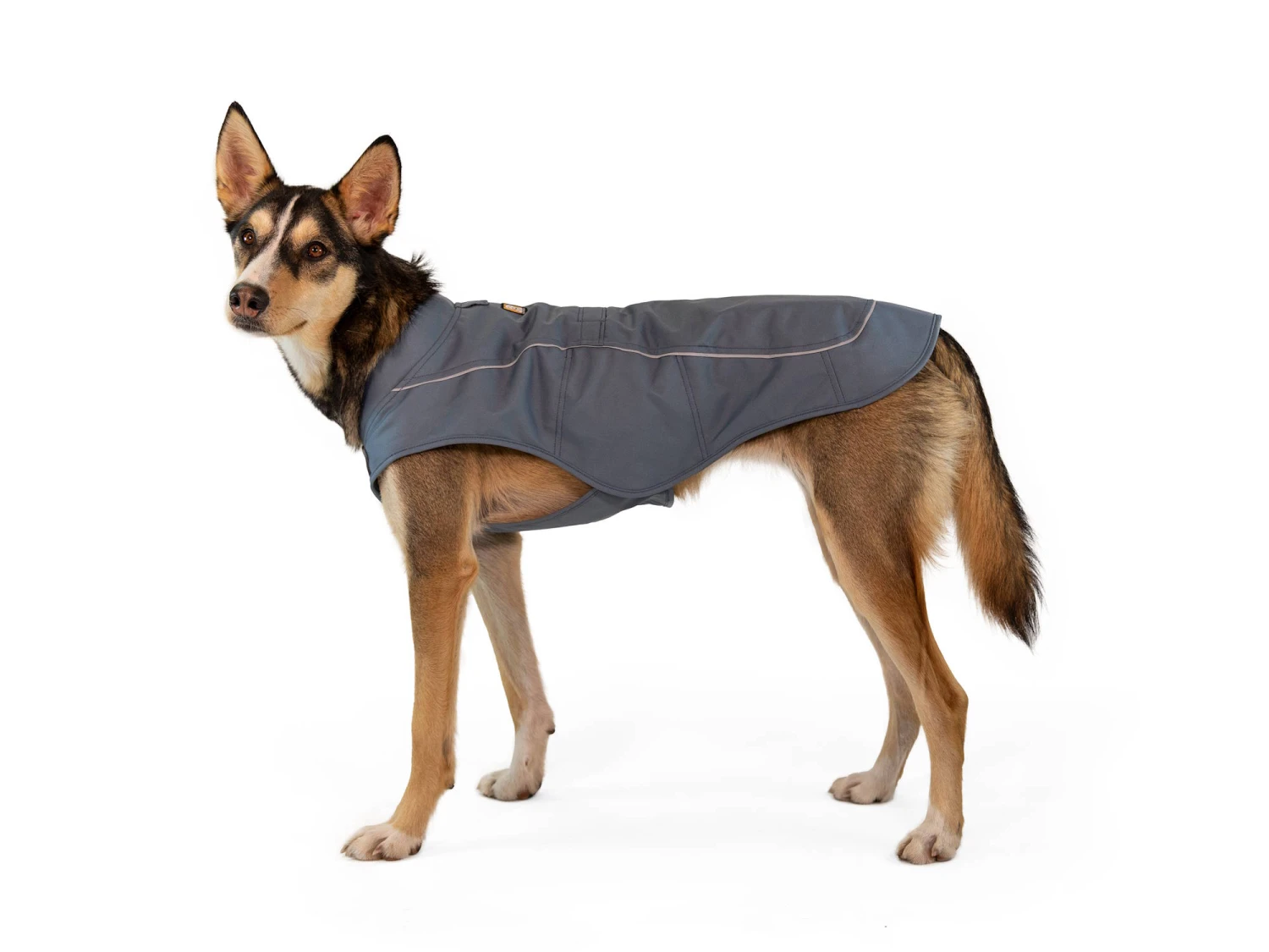 Ruffwear Overcoat™ Gefütterte Allwetter-Hundejacke Slate Blue 6 Ruffwear Overcoat™ Gefütterte Allwetter-Hundejacke Slate Blue – Bild 6