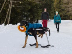 Ruffwear Quinzee™ Winter Hundejacke Blue Moon 14 Ruffwear Quinzee™ Winter Hundejacke Blue Moon -Haustierbedarf für Hunde 1063920 Product