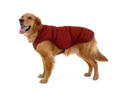 Ruffwear Quinzee™ Winter Hundejacke Fired Brick 13 Ruffwear Quinzee™ Winter Hundejacke Fired Brick -Haustierbedarf für Hunde 1064367 Product