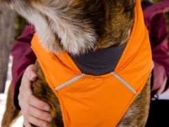Ruffwear Quinzee™ Winter Hundejacke Campfire Orange -Haustierbedarf für Hunde 1064759 Product