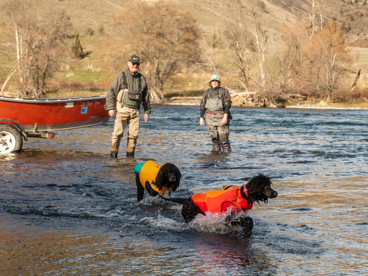 Ruffwear Undercoat™ Hunde-Neoprenanzug Aurora Teal 8 Ruffwear Undercoat™ Hunde-Neoprenanzug Aurora Teal – Bild 8