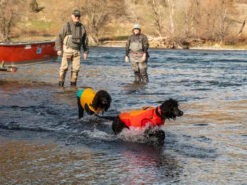 Ruffwear Undercoat™ Hunde-Neoprenanzug Campfire Orange -Haustierbedarf für Hunde 1066053 Product