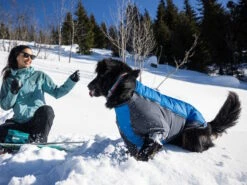 Ruffwear Powder Hound™ Winterjacke Für Hunde Blue Pool 9 Ruffwear Powder Hound™ Winterjacke Für Hunde Blue Pool -Haustierbedarf für Hunde 1071319 Product
