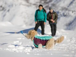 Ruffwear Powder Hound™ Winterjacke Für Hunde Aurora Teal -Haustierbedarf für Hunde 1071623 Product