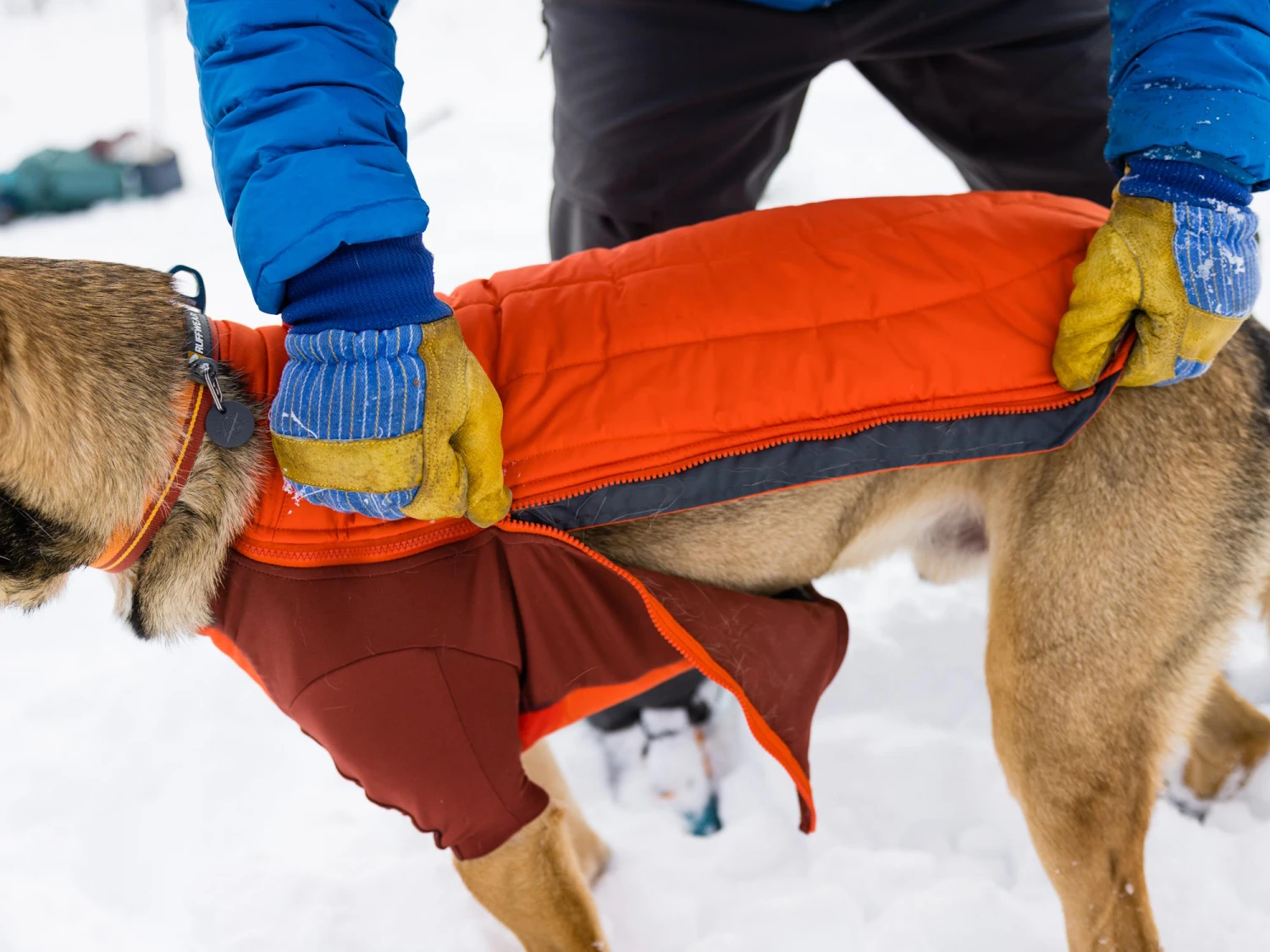 Ruffwear Powder Hound™ Winterjacke Für Hunde Persimmon Orange 4 Ruffwear Powder Hound™ Winterjacke Für Hunde Persimmon Orange – Bild 4