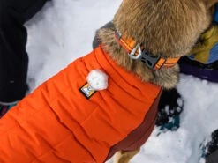 Ruffwear Powder Hound™ Winterjacke Für Hunde Persimmon Orange 13 Ruffwear Powder Hound™ Winterjacke Für Hunde Persimmon Orange -Haustierbedarf für Hunde 1071883 Product
