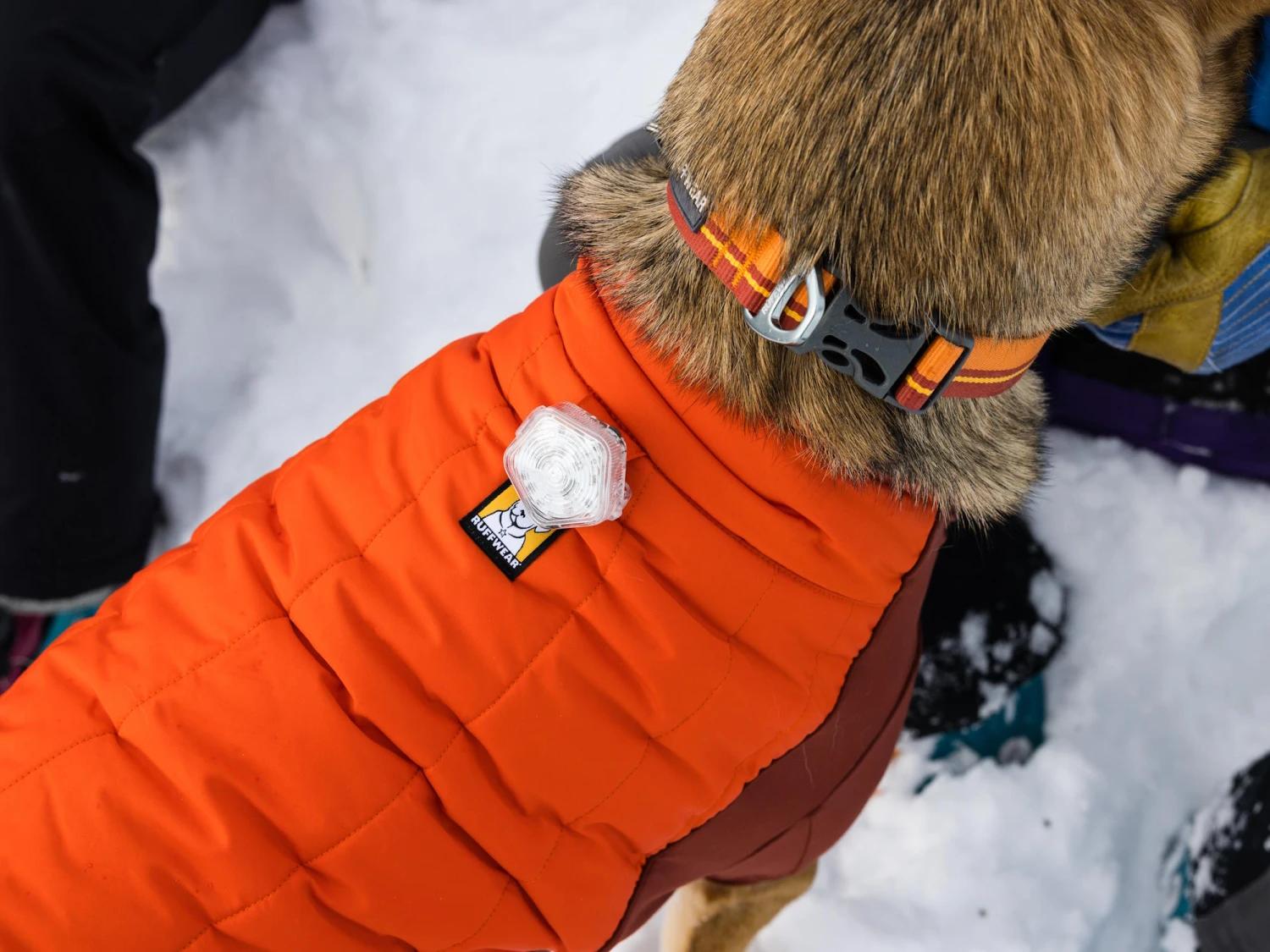 Ruffwear Powder Hound™ Winterjacke Für Hunde Persimmon Orange 5 Ruffwear Powder Hound™ Winterjacke Für Hunde Persimmon Orange – Bild 5