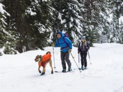 Ruffwear Polar Trex™ Hundeschuhe Schwarz -Haustierbedarf für Hunde 1072375 Product