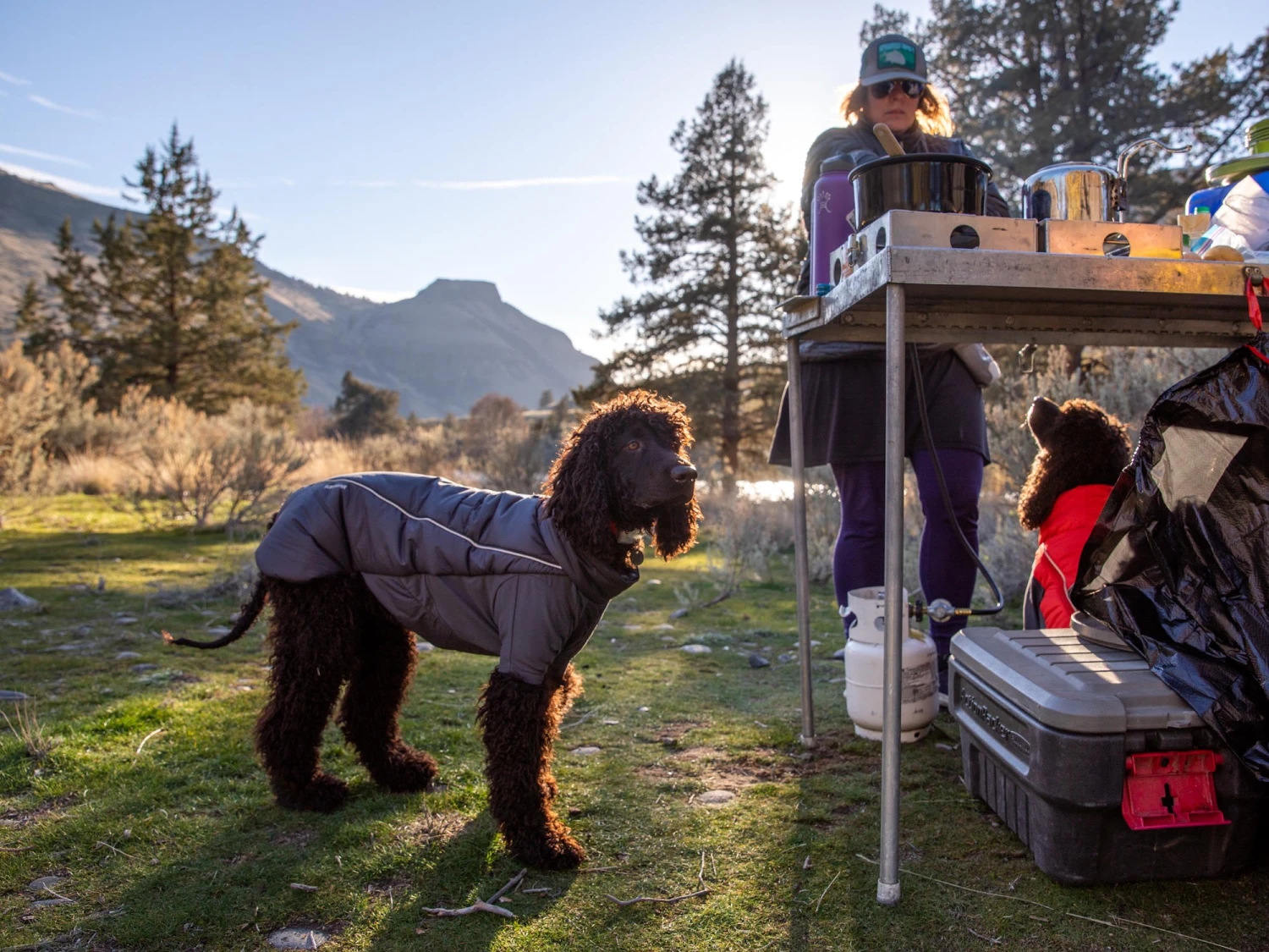 Ruffwear Furness™ Extra Warme Hundejacke Twilight Gray 7 Ruffwear Furness™ Extra Warme Hundejacke Twilight Gray – Bild 7