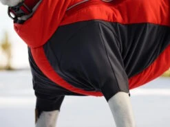 Ruffwear Furness™ Extra Warme Hundejacke Red Sumac -Haustierbedarf für Hunde 1072852 Product