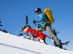 Ruffwear Furness™ Extra Warme Hundejacke Red Sumac -Haustierbedarf für Hunde 1072858 Product