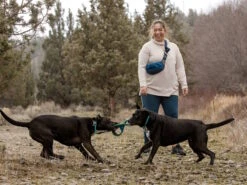 Ruffwear Pacific Ring™ Hundespielzeug -Haustierbedarf für Hunde 1074515 Product