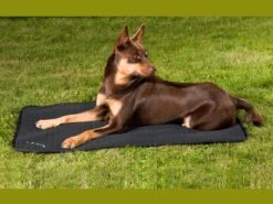 Back On Track Hundematratze Allround -Haustierbedarf für Hunde 132802 Product