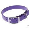 Relaxoo Biothane Hundehalsband Violett 25mm Breit